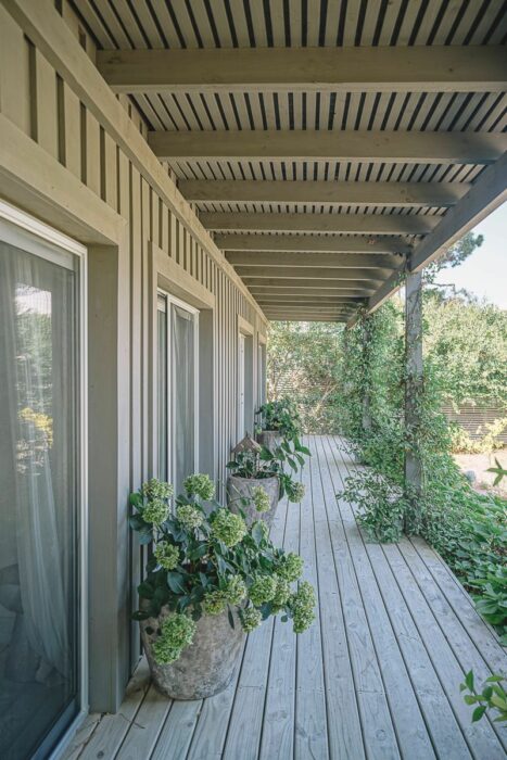 WhatsApp Image 2026-02-27 at 11.00.22 AM